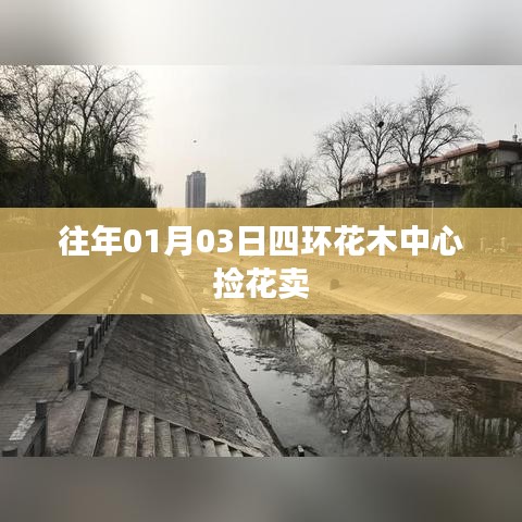 往年元旦后四环花木中心赏花购物记