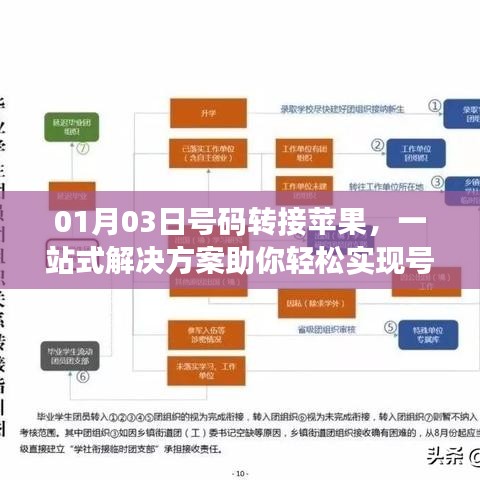 苹果号码转移一站式解决方案，轻松实现转接