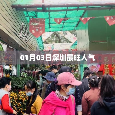 深圳人气爆棚，最新人气榜单揭晓