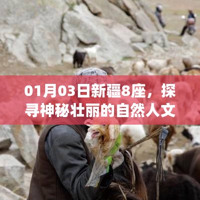 新疆探寻之旅，壮丽自然人文景观之旅