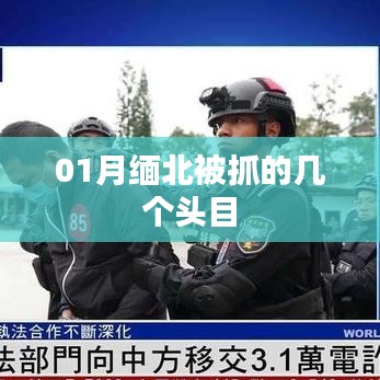 缅北行动，一月头目抓捕行动回顾