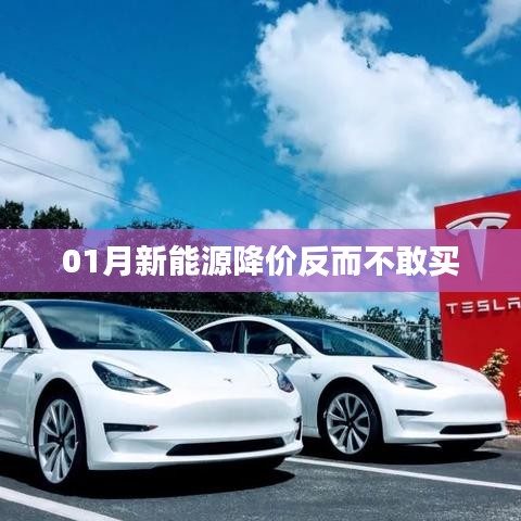 新能源降价引发观望心态，消费者犹豫待购