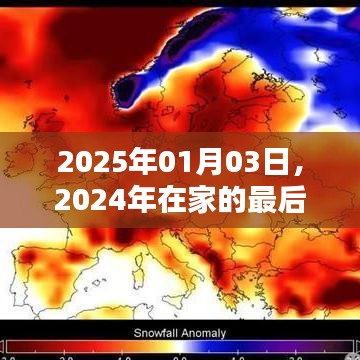告别2024，回顾在家的最后一天