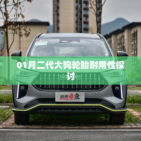 关于二代大狗轮胎耐用性的深度探讨