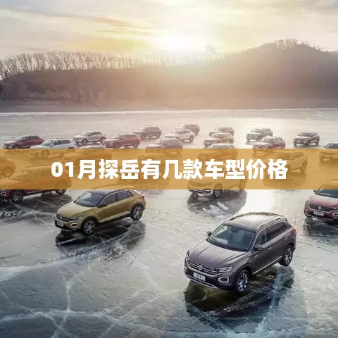 探岳车型价格表（最新）