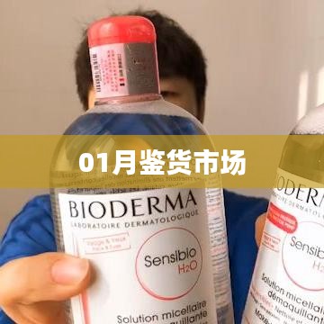最新鉴货市场趋势分析