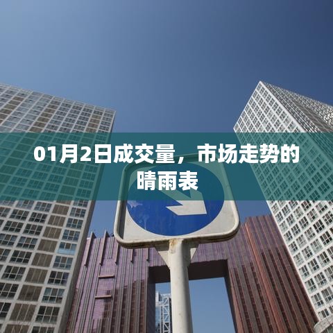 市场走势风向标，01月2日成交量分析