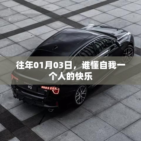 自我一个人的快乐，探寻孤独的喜悦之道