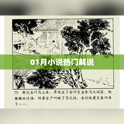 热门小说解说盘点，一月精彩不容错过