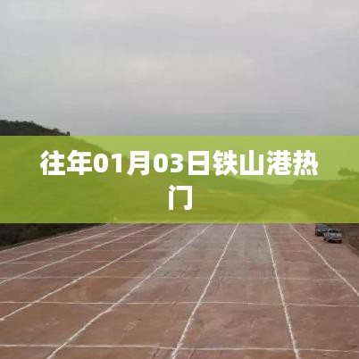 铁山港元旦后热度概览，历年一月初的热门事件回顾
