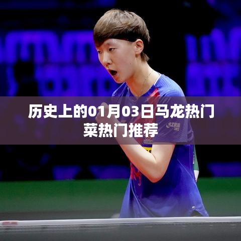马龙热门菜推荐，历史上的美食盛宴