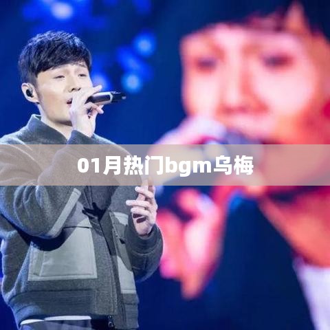 01月热门背景音乐，乌梅之歌