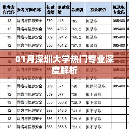 深圳大学热门专业深度解析，一月资讯速递