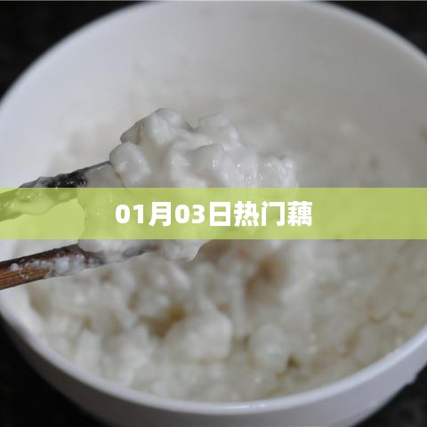 粗衣淡饭 第2页