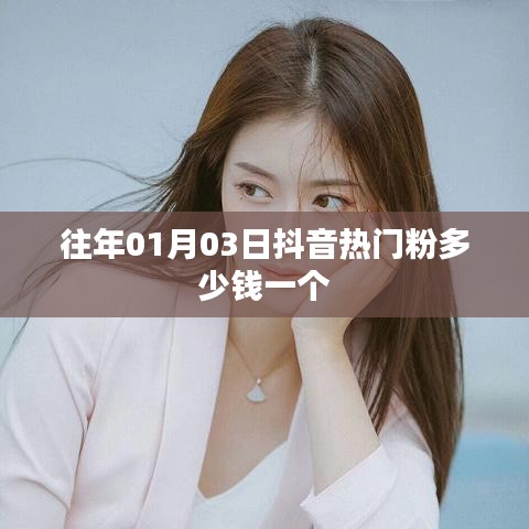 抖音热门粉丝价格查询，日期与价格揭秘