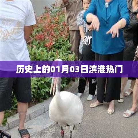 滨淮热门事件回顾，历史上的1月3日