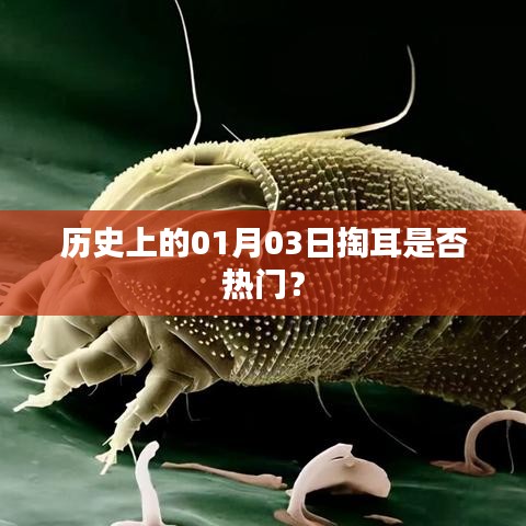 1月3日掏耳历史热度揭秘