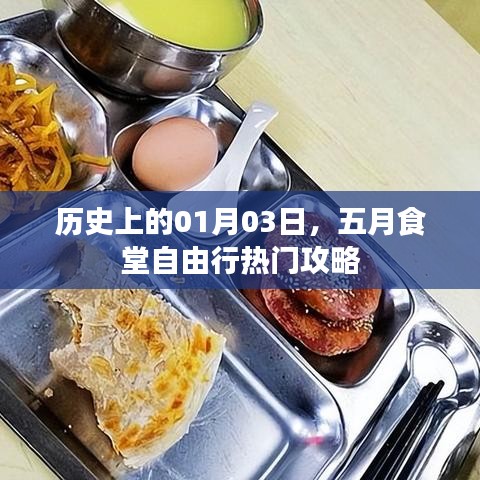 五月食堂自由行，一月三日热门攻略全解析