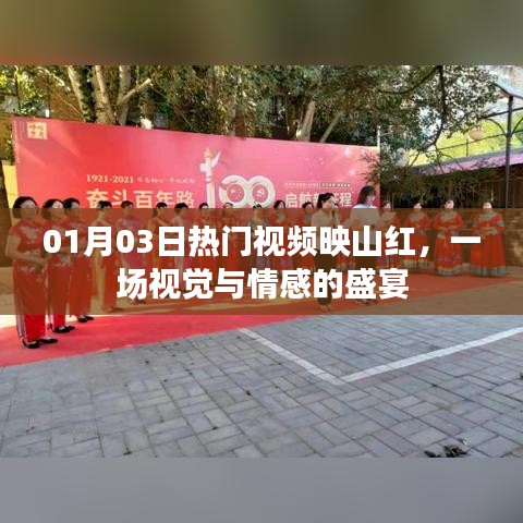 映山红视觉盛宴，情感交织的热门视频