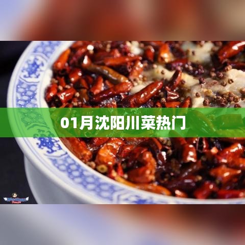 沈阳一月川菜热门榜单