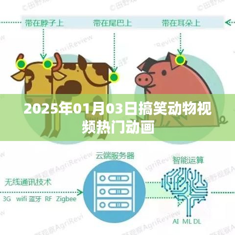 伤弓之鸟 第3页