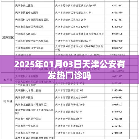天津公安发热门诊情况查询，最新动态与地点