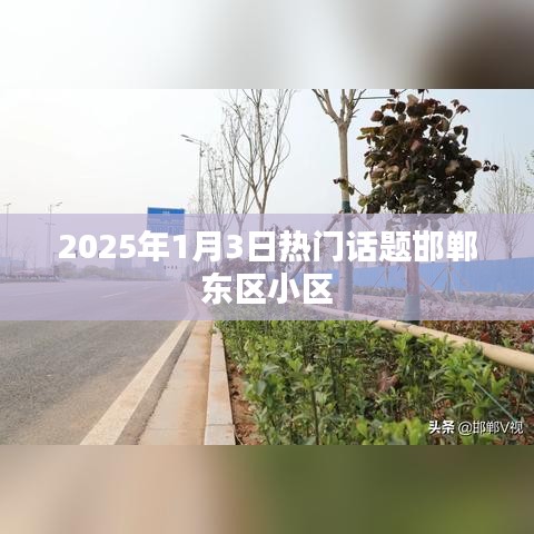 邯郸东区小区，聚焦2025年1月3日热议话题