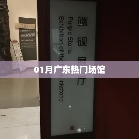 广东一月热门场馆盘点