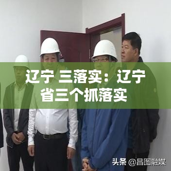 辽宁 三落实：辽宁省三个抓落实 