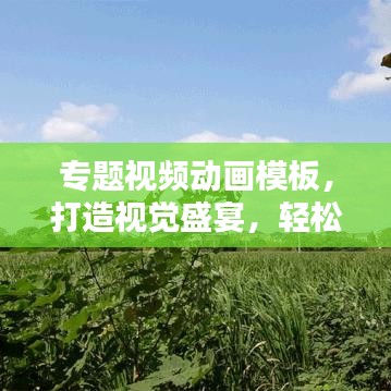 专题视频动画模板，打造视觉盛宴，轻松吸引眼球！