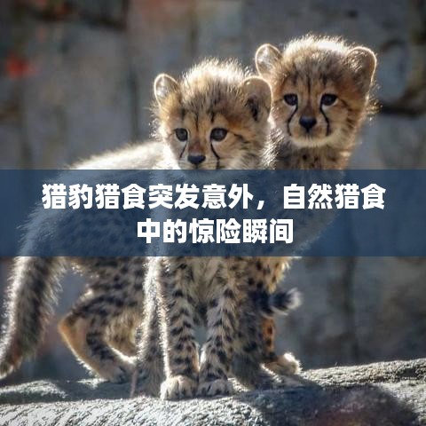 admin 第2页