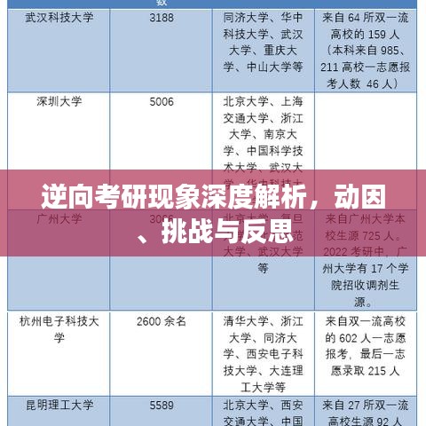 逆向考研现象深度解析，动因、挑战与反思