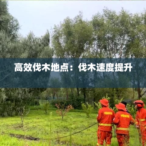 高效伐木地点：伐木速度提升 
