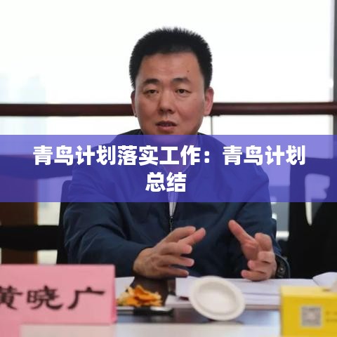 青鸟计划落实工作：青鸟计划总结 