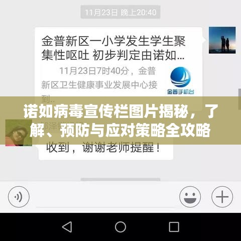 诺如病毒宣传栏图片揭秘，了解、预防与应对策略全攻略