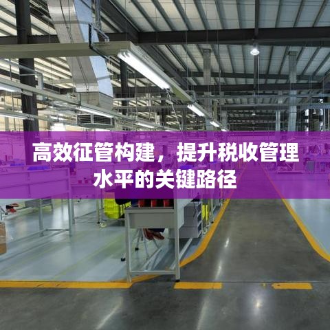 高效征管构建，提升税收管理水平的关键路径