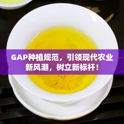 GAP种植规范，引领现代农业新风潮，树立新标杆！