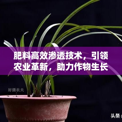 肥料高效渗透技术，引领农业革新，助力作物生长新动力