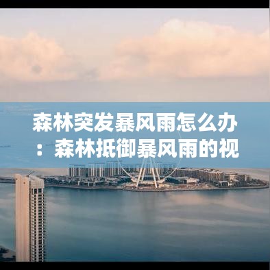 森林突发暴风雨怎么办：森林抵御暴风雨的视频 