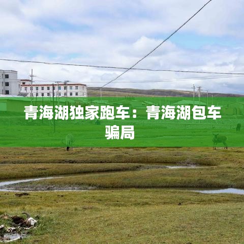 青海湖独家跑车：青海湖包车骗局 