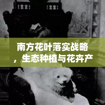 鸟语花香 第2页
