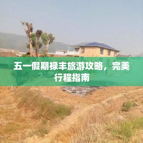 五一假期禄丰旅游攻略，完美行程指南