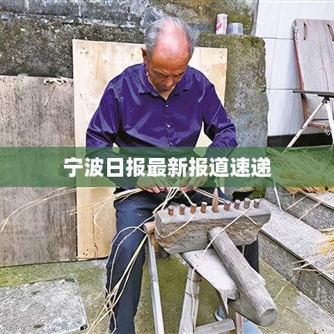 宁波日报最新报道速递