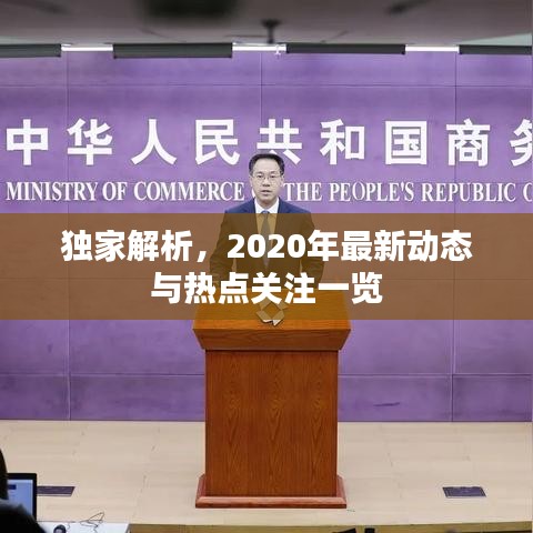 独家解析，2020年最新动态与热点关注一览