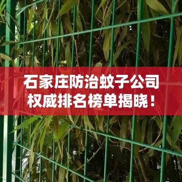 石家庄防治蚊子公司权威排名榜单揭晓！