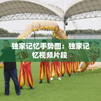 独家记忆手势图：独家记忆视频片段 
