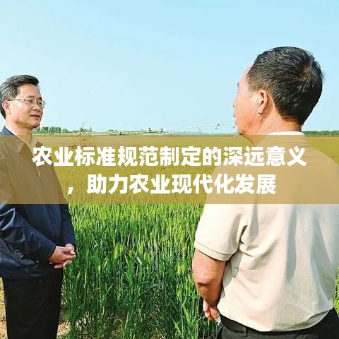 农业标准规范制定的深远意义，助力农业现代化发展