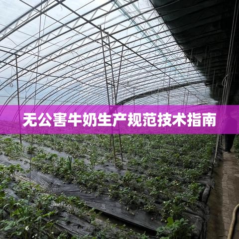 无公害牛奶生产规范技术指南