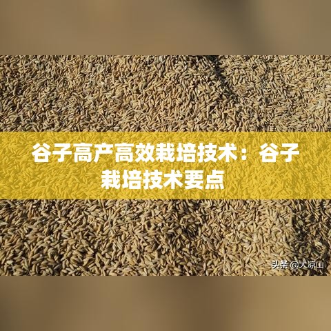 束手就禽 第3页