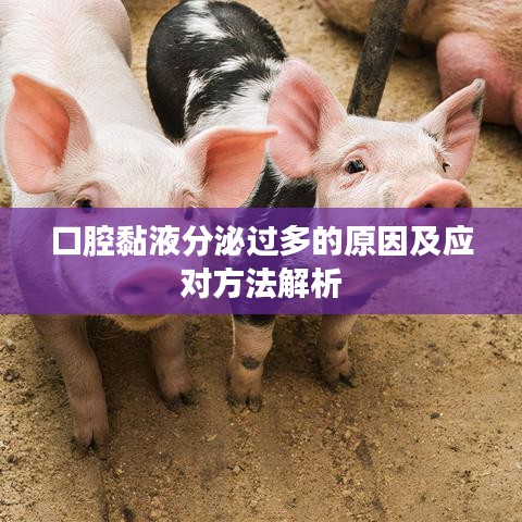 口腔黏液分泌过多的原因及应对方法解析